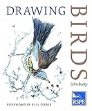 Drawing Birds