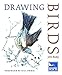 Drawing Birds