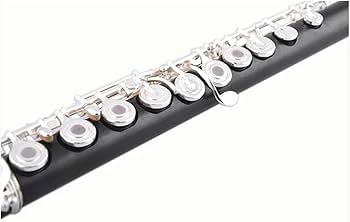 Amazon | プロフェッショナルフルート 17 穴オープンホール黒檀 C