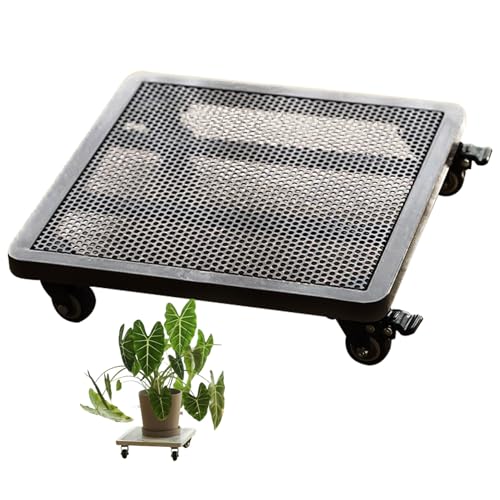 Support à plantes roulant anti-rayures pour déplacer facilement vos pots lourds de 200 kg