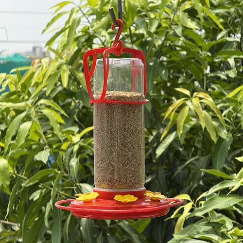 Image of Humming Bird Food Feeder