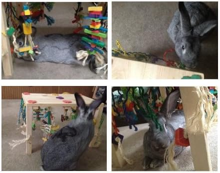 timali activity zone rabbit toy