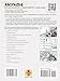 Honda VT750 Shadow Chain Drive 1998-2006 (Clymer Motorcycle Repair)