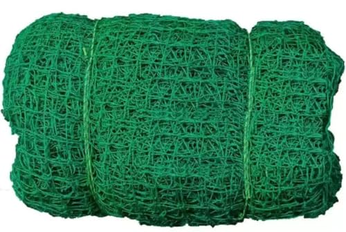 Image of Green Cricket Net 100 * 10ft, Durable Training Net, Sports Nets Cricket Batting Practice Net Cage Regular Training Netting for Outdoor Backyard Ground Sports