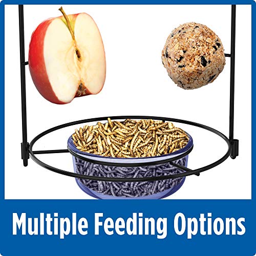 Nature's Way Bird Products Bbfm1 Bluebird Buffet Bird Feeder, Blue #TOP2
