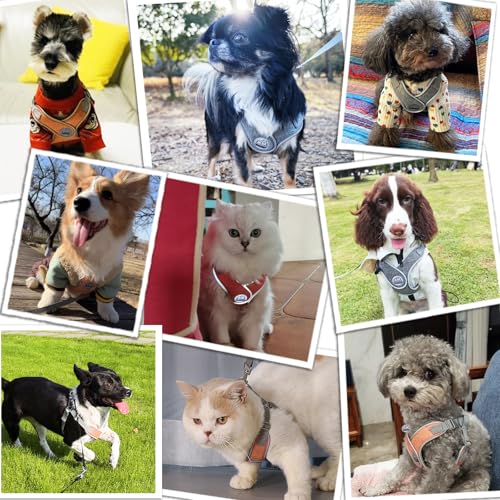 Miru pochi 犬用ハーネス リードセット