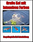  Große Koi mit intensiven Farben: So gelingt die Koi Entwicklung