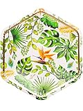  Givi Italia Paquete de 8 Platos hexagonales Golden Jungle, 23 cm para Tropical Party