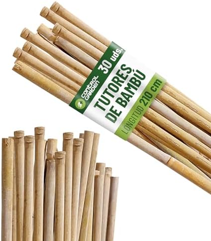 Control Garden Pack 30 Units Ecological Bamboo Tutor 210 cm | Nat...