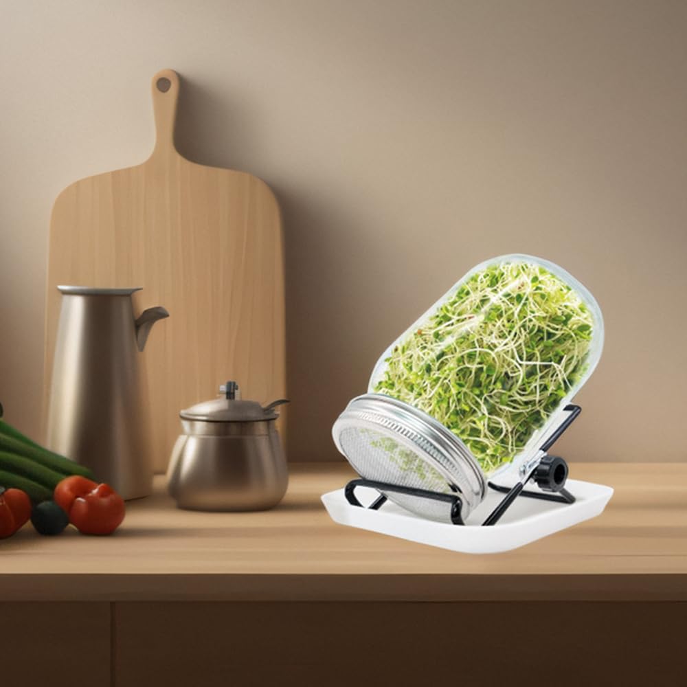 Lot de bocaux à germer 1000 ml pour germination en verre à germination avec 1 bol à eau, 1 couvercle en acier inoxydable 304 et 1 support, pour alfalfa, brocoli, haricots mungo