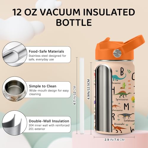 Image of Dinosaur Water Bottle for Son & Daughter, Stainless Steel Insulated Tumbler with Straw Lid and Handle, 12oz Reusable Leak-Proof Bottle for Sports