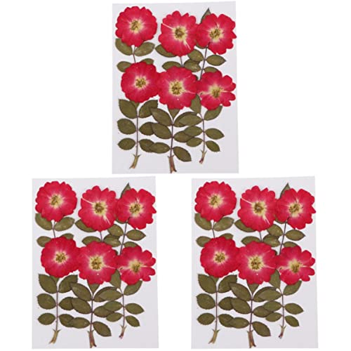 ABOOFAN 36 Peças Pacote Floral Espécime De Flores Mistas Flores Secas Embelezamento Rosas Naturais P