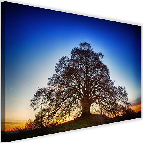 Toile XXL arbre art image deco solution mur vide tableau bleu abstrait 100x70