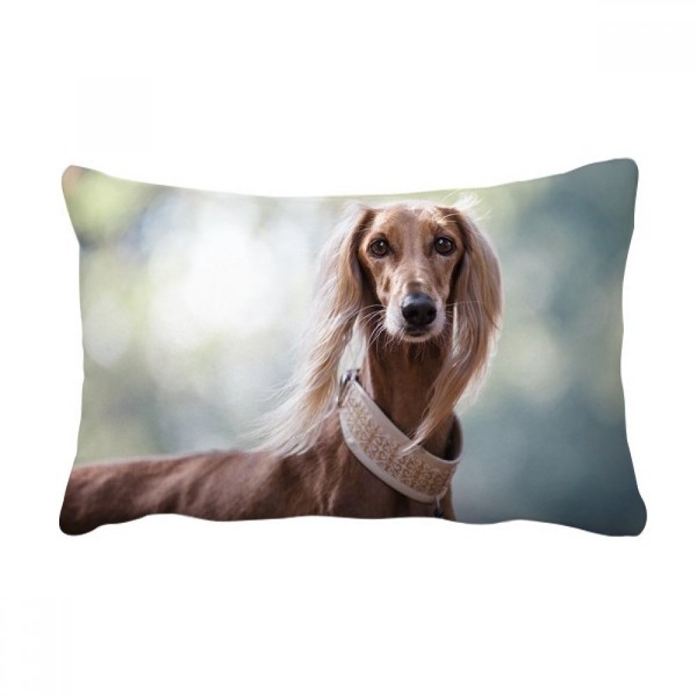 Oreiller lombaire chien rigolo multicolore pour transformer le canapé du salon en espace cosy