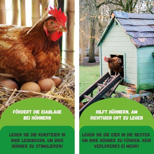 Jarden® 5er-Set Holzeier für Hühner – Realistische Gipseier für Hühner als Nesthilfe – Perfekt für Hühnerställe & Legenester
