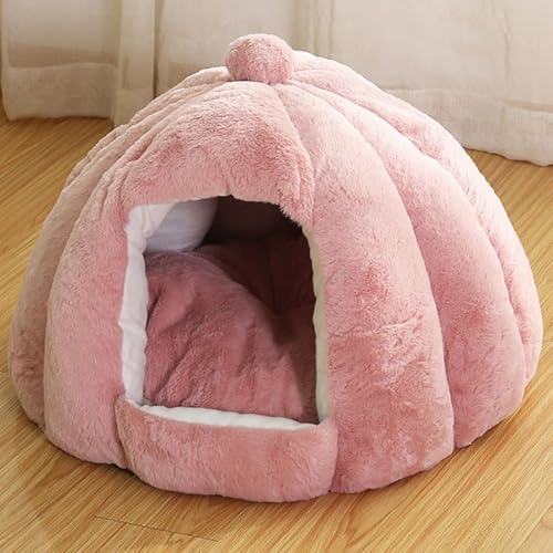 L xbh h[^ ~ pbgt  ӂӂ 킢  􂦂 ۉh ~ p ybgxbh ybgnEX ΍  L ybgpi sN L