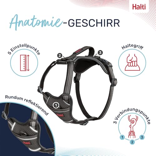 Company of Animals HALTI Anatomie Hundegeschirr mit Griff – Bewegungsfreiheit und für Ihren Hund. 3 Verbindungspunkte für die Leine, Neoprenpolsterung, verstellbar und reflektierend. Größe L, Grau