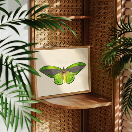 crmotu Vintage Framed Wall Art, Green Butterfly Canvas Art Prints, Nature Moth Rustic Farmhouse Kitchen Wall Decor, Country Cottage Wall Paintings for Bedroom Bathroom, Office Desktop Decor,9x11inch