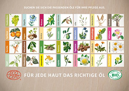 Huile de Calophylle bio 50ml - vue 8
