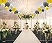 KAXIXI Hanging Party Decorations Set, 15pcs Yellow Gray White Paper Flowers Pom Poms Balls and Paper Lanterns for Wedding Birthday Bridal Sunshine Baby Shower Graduation