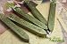 5Pcs Wine Red Manuscript Sealing Seal Wax Sticks Wicks For Postage Letter (5pcs, Green Gold)
