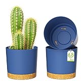 ZMTECH Ф16,5cm Blumentöpfe mit Untersetzer, Modern Plastik Selbstbewässernder Pflanztöpfe zum Bemalen, übertöpfe für Innen- und Außen Zimmerpflanzen, Sukkulenten, Kakteen, Orchideen(Blau, 3er-Set)