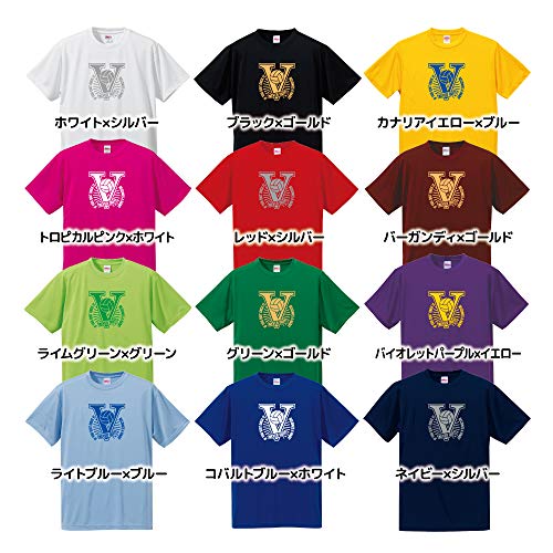 バレーボール Tシャツ ドライシルキー ウェア 練習着に！ V9