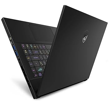 Amazon.com: MSI GS66 Stealth Gaming Laptop: 15.6