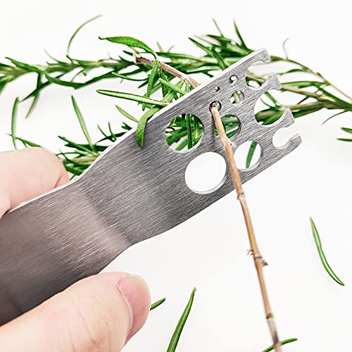 Stainless Steel Herb Strippers, 11 Holes, Kitchen Leaf Stripping Tool for Removing Stems from Herbs & Kale