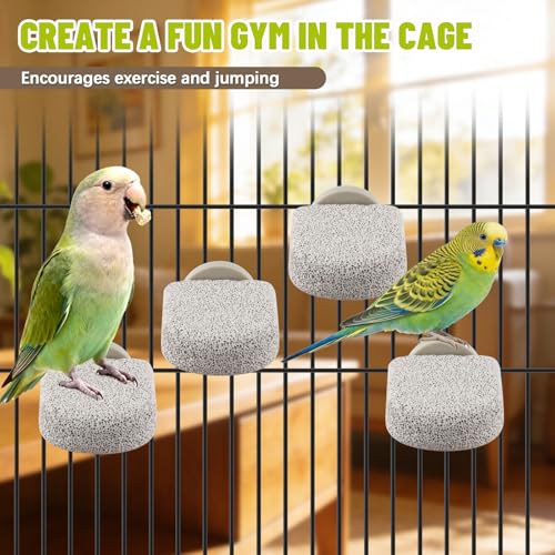 Image of 4 Pcs Lava Ledge Bird Perch Platform Set for Cages | Fits Small /Medium Parrots (Budgies, Conures) | Volcanic Calcium Stone for Beak Grinding & Claw Trimming | Tool-Free Mount