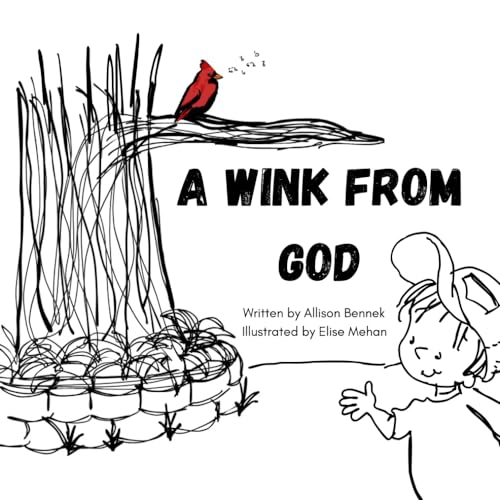 Image of A Wink from God