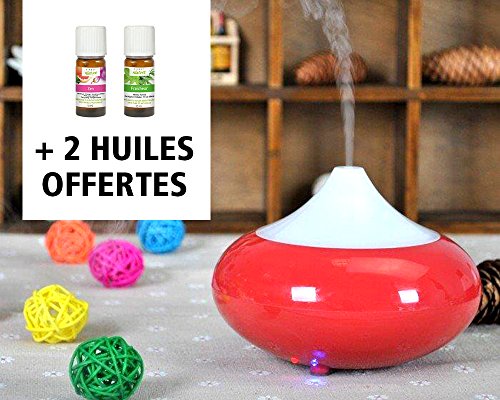 Brumisateur diffuseur d'huiles essentielles pour créer une ambiance zen à la maison