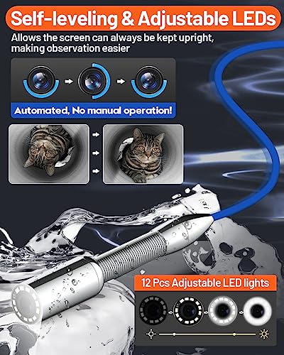 Anysun 9DX23-60M-DVR-7C-512TR-ZPH Sewer Camera With Locator thumb #2