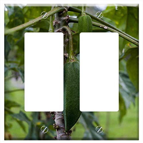 Switch Plate Double Rocker/GFCI - Babaco Food Leaf Fruit Nature Plant