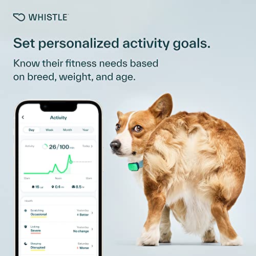 Whistle Health Smart Device | Dog Health and Fitness Tracker | Track Scratching, Licking, Drinking, Eating, Sleeping, and Activity, Green - Thumbnail 3