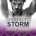 Cover of Perfect Storm