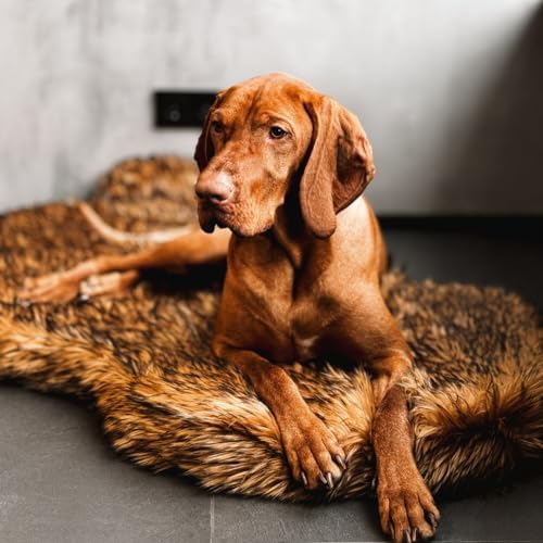 IHAPPYDOG Luxury Faux Fur Orthopedic Dog Bed, Memory Foam Dog Bed...