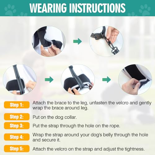 Image of Dog Knee Brace for Torn ACL Hind Leg Support, Adjustable Dog Leg Braces for Back Leg, Cruciate Ligament Injury and Luxating Patella Recovery, Hip Brace for Dogs, Universal for All 4 Legs, L