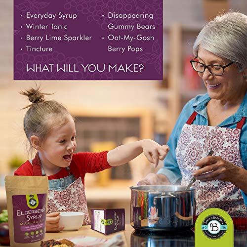 Elderberry Syrup Kit Organic - Make 12-24Oz | With Dried Elderberries (Sambucus), Cinnamon, Rosehips, & Ginger - For Adults + Kids - By Birds & Bees Teas #TOP3