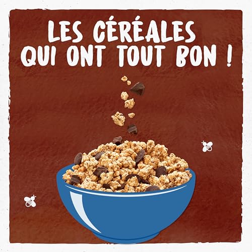 Céréales Bio Crousti Avoine Bjorg Le Sachet De - vue 6