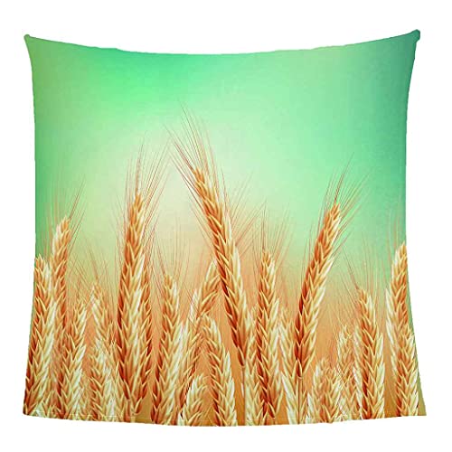 Couverture microfibre blé doré pour vos soirées cocooning - 4