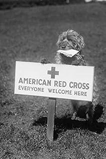 Sandy the American Red Cross Dog Welcomes Everyone Poster Print by unknown (18 x 24)