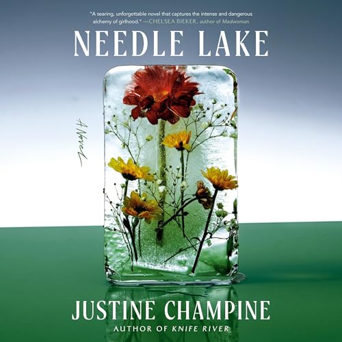 Needle Lake cover art