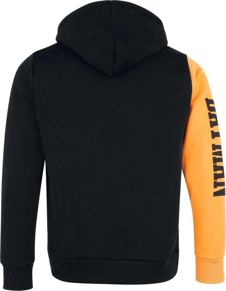 BATMAN The Bat Logo Männer Kapuzenpullover Multicolor