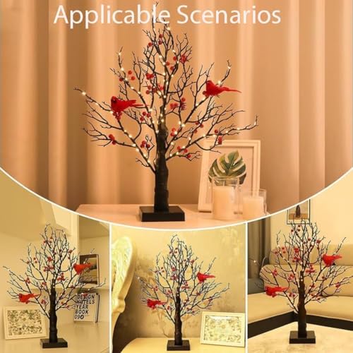 Consejos para Comprar Red Fruits disponible en línea para comprar. 32 Imagen adicional