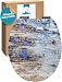 Produktbild Calmwaters® WC Sitz mit Absenkautomatik, Holz-Motiv Shabby-Wood, Holzkern Toilettendeckel, Fast-Fix, Metallscharnier, universale O-Form, ovaler Klodeckel, Komfort Toilettensitz, Holz-Dekor, 26LP5405