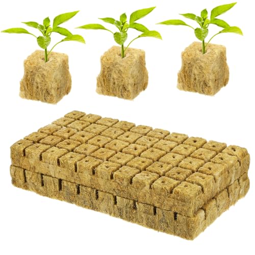 TOBBOMEY 100 pezzi Cubi di Propagazione per Piante Blocchi di Substrato Senza per Coltivazione ad Alta Assorbenza e Permeabilità d'Aria per Germinazione e Radicazione Efficienza