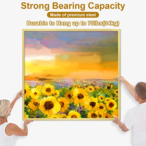 Mapvolut 372 Pcs Picture Hanging Kit, Picture Hangers, Heavy Duty Picture Frame Mirror Wall Hanging Hardware Hooks Kit With Nails For Hanging Pictures, Sawtooth Picture Hangers Wire Screw D Ring Level #TOP3