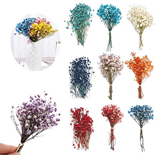 Ramo mini flores secas natural decoración hogar 3 unidades miniatura 5