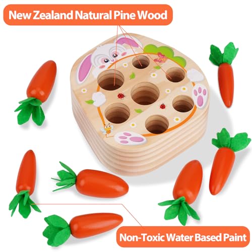 Image of KMTJT Montessori Toys for 2 3 Year Old Toddlers | Wooden Carrot Harvest Toy